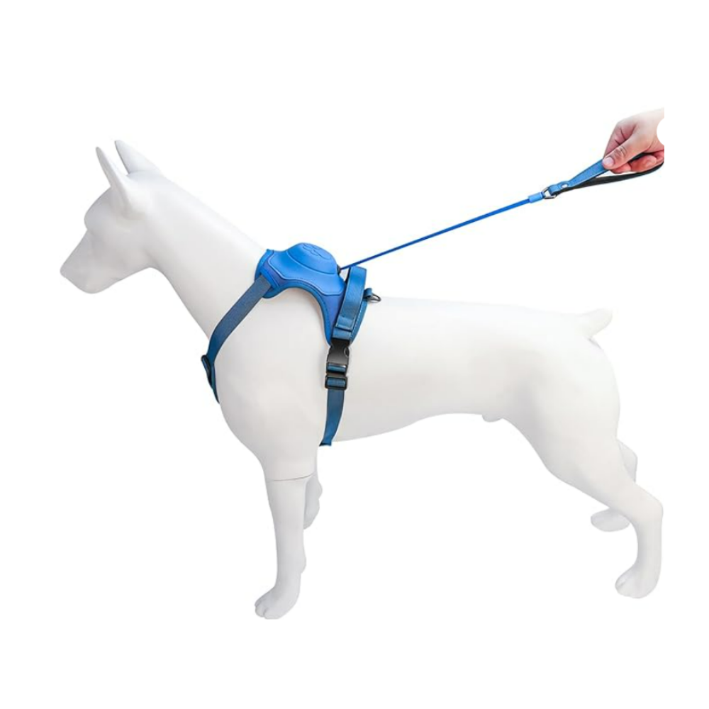 Arnés Para Perro Con Correa Retráctil - Azul